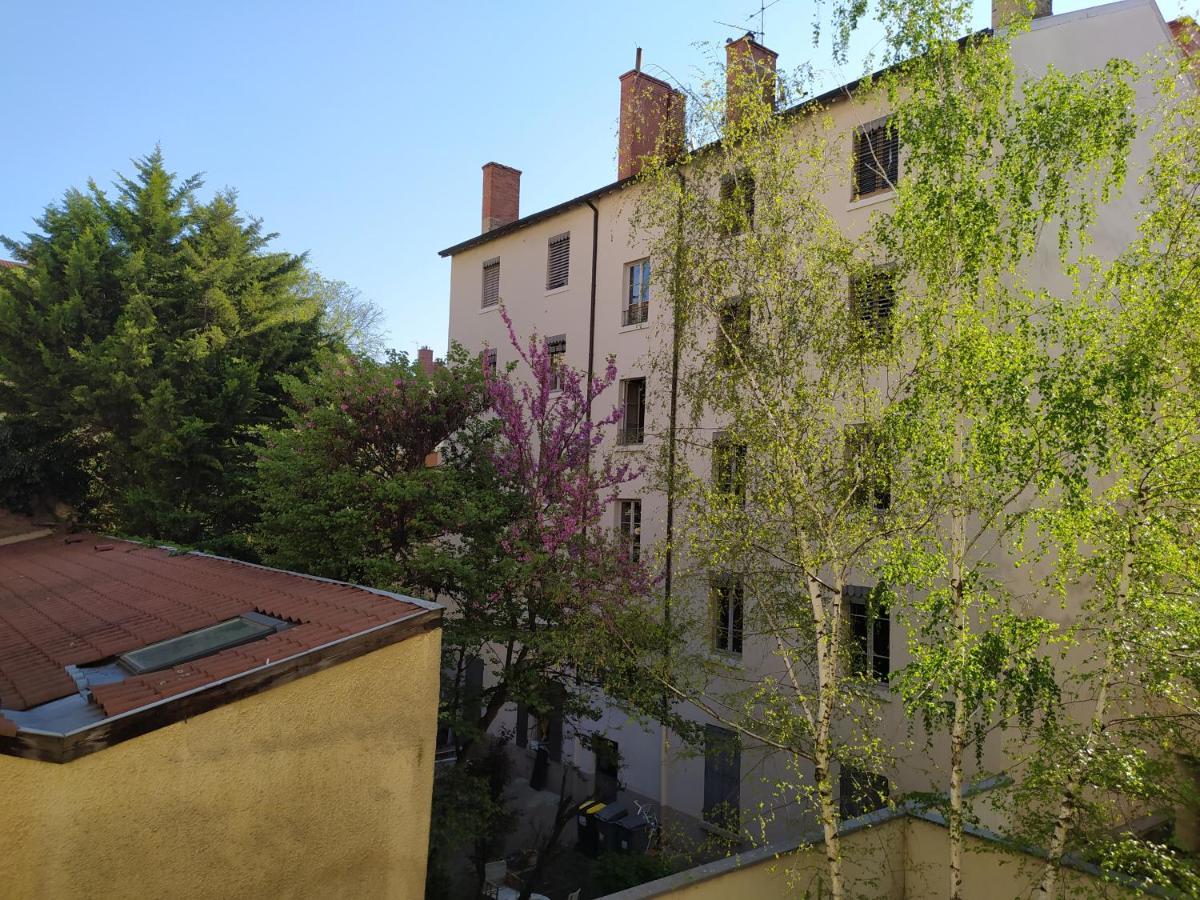 Berge Du Rhone, Centre Lyon, Espace De Travail, Tout A Pied, Universite Lyon 2 Et Lyon 3, Ideal Voyage D'Affaires, Tourisme, Loisirs Dış mekan fotoğraf
